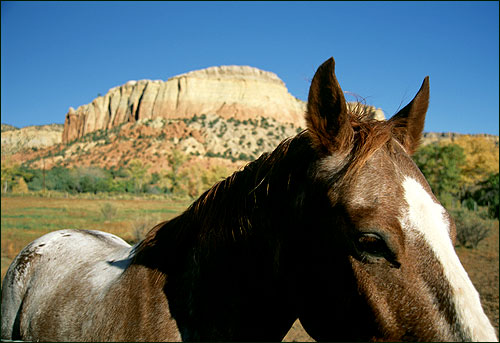 Abiquiu, New Mexico